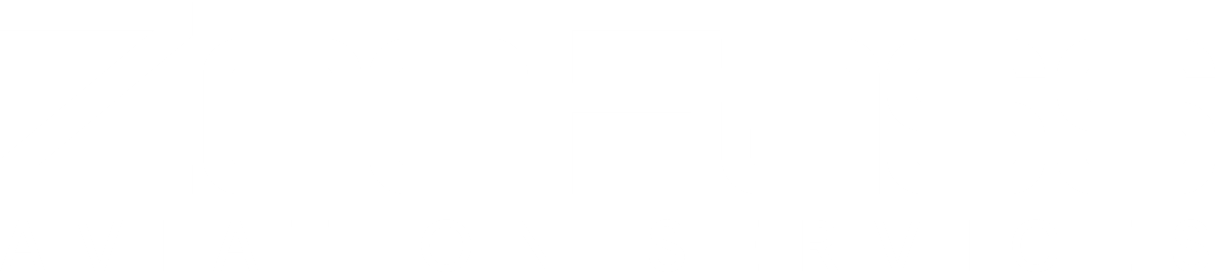 Zeefass Travels